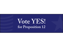 Picture of Vote Yes Banner (VYB#001)