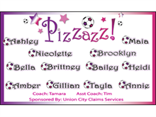Picture of Pizzazz Soccer  Banner (PSB#001)