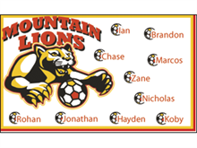 Picture of Mountain Lions Soccer  Banner (MLSB#001)