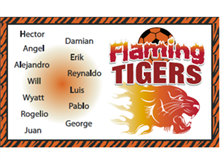Picture of Flaming Tigers Soccer Banner (FTSB#001)